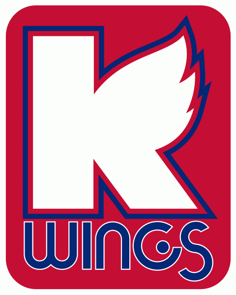 kalamazoo wings 2009 alternate logo iron on transfers for T-shirts
